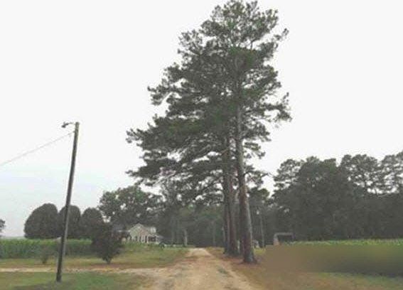 4th image of 75 La Ln