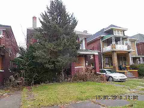 3319 Pingree