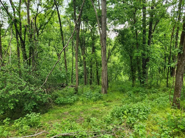 0 Thompson Hill Rd, Bethpage, TN 37022