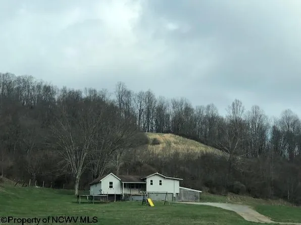 2228 Whetstone Rd, Mannington, WV 26582