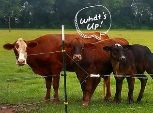 21379 Ima Brill Loop, Robertsdale, AL 36567