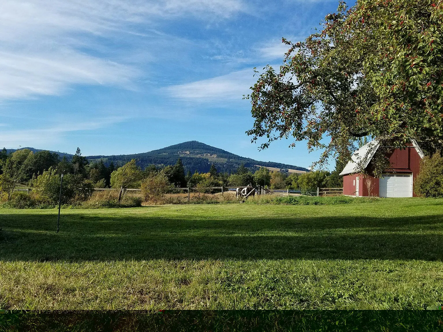 2 bed, 916 sqft, $2,500 — Photo 2