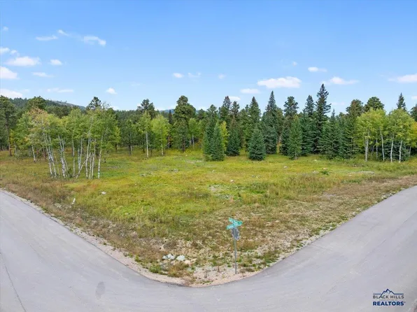 LOT 4 Lot 4 Other, Lead, SD 57754