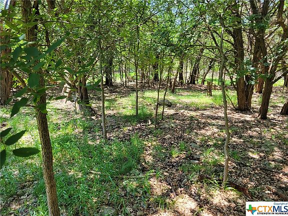 3rd image of 37 Buena Vista Dr
