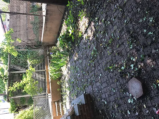 Rented by Nooklyn NYC LLC | media 28