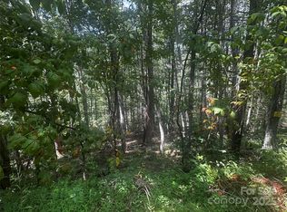 0 Rabbit Hop Rd, Spruce Pine, NC 28777