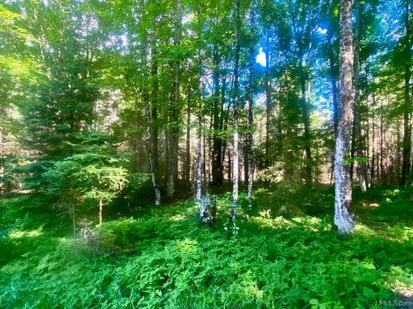 Cedardale 28th Rd, Cornell, MI 49818