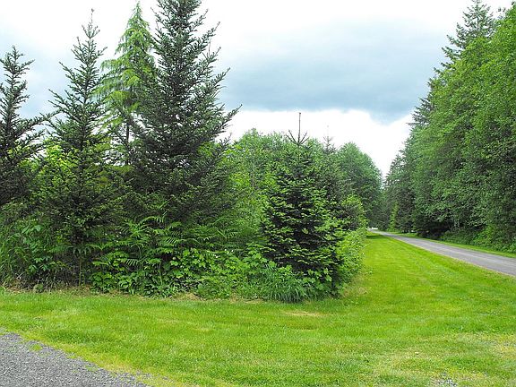 106 Primrose Lane, Cinebar, WA  98533