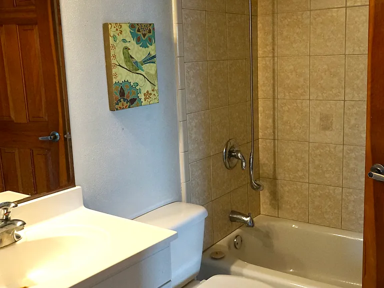 32 Hilton Haven Rd #5 — Photo 20