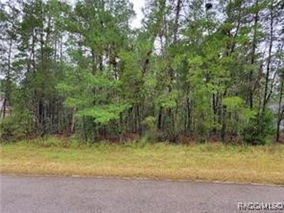 43 Village Center Dr, Homosassa, FL, 34446