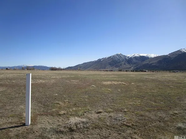 20 Jason Dr, Wellington, NV 89444