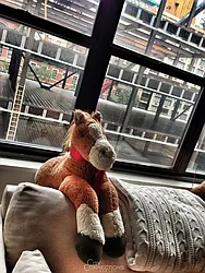 Rented by City Connections Realty