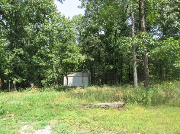 347 Country Farm Drive Drive, Marshfield, MO 65706