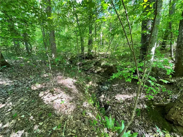Xx Fraher Ln, Amelia Court House, VA 23002