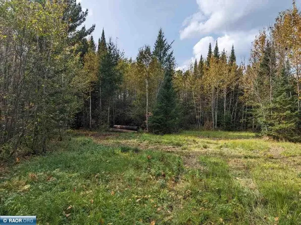 Deer River Line, Littlefork, MN 56653