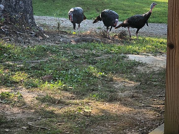 77th image of this home