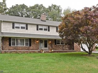 9 Sandra Ct, Flanders, NJ 07836