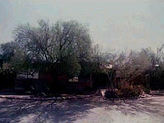 1st image of 6550 N Calle Lottie #0