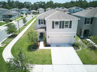 10826 Trailing Vine Dr, Tampa, FL 33610