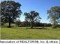 3rd image of State Highway 43