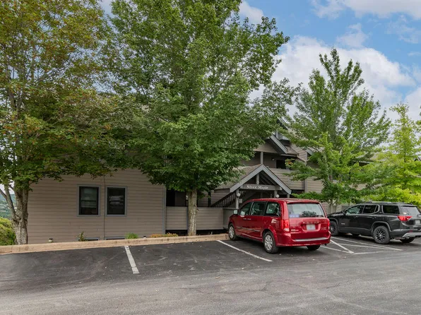 3 Treehouse Lane #1 BLDG 3, Indian Point, MO 65616