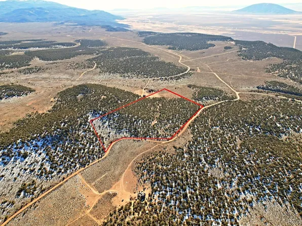 Eagle Nest Road, San Luis, CO 81152