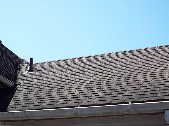 5th image of 100 Gallup St #102