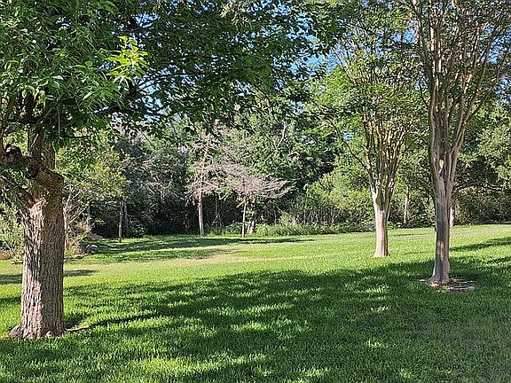 Left side yard
