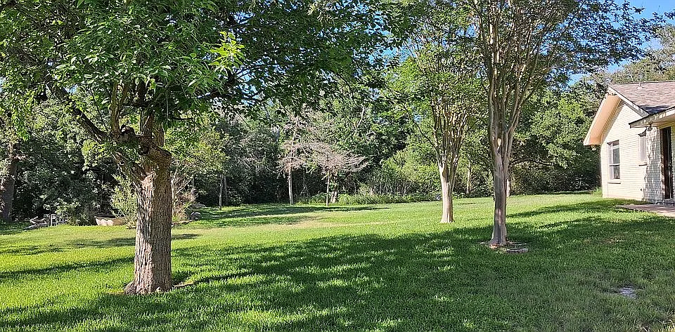 Left side yard
