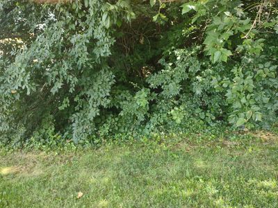 0 Wood Haven Rd #1A-3, Roanoke, VA, 24019