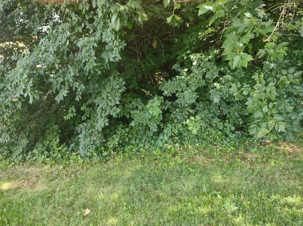 0 Wood Haven Rd #1A-3, Roanoke, VA 24019