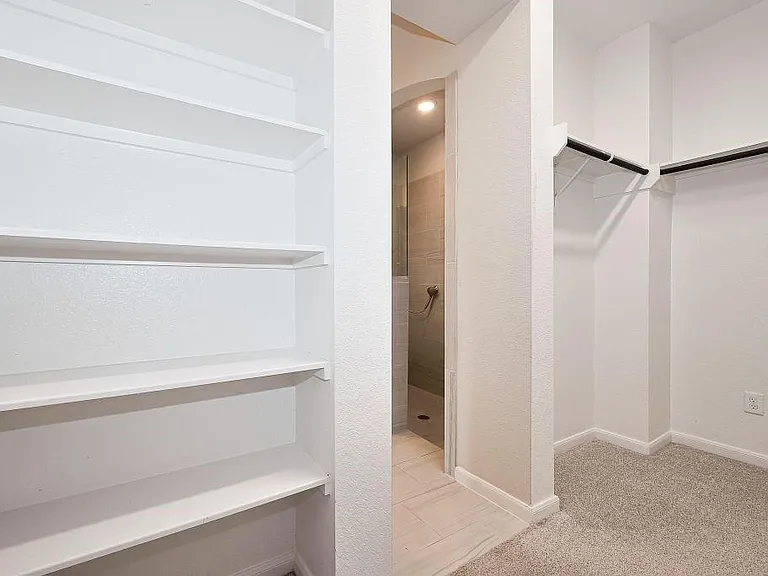 29310 Sweet Orange Ct — Photo 20