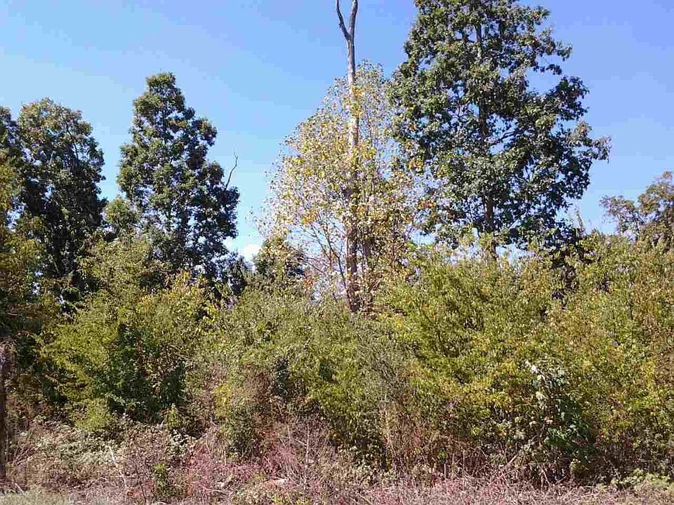 2nd image of 0 Oak Grove Rd Lot 3