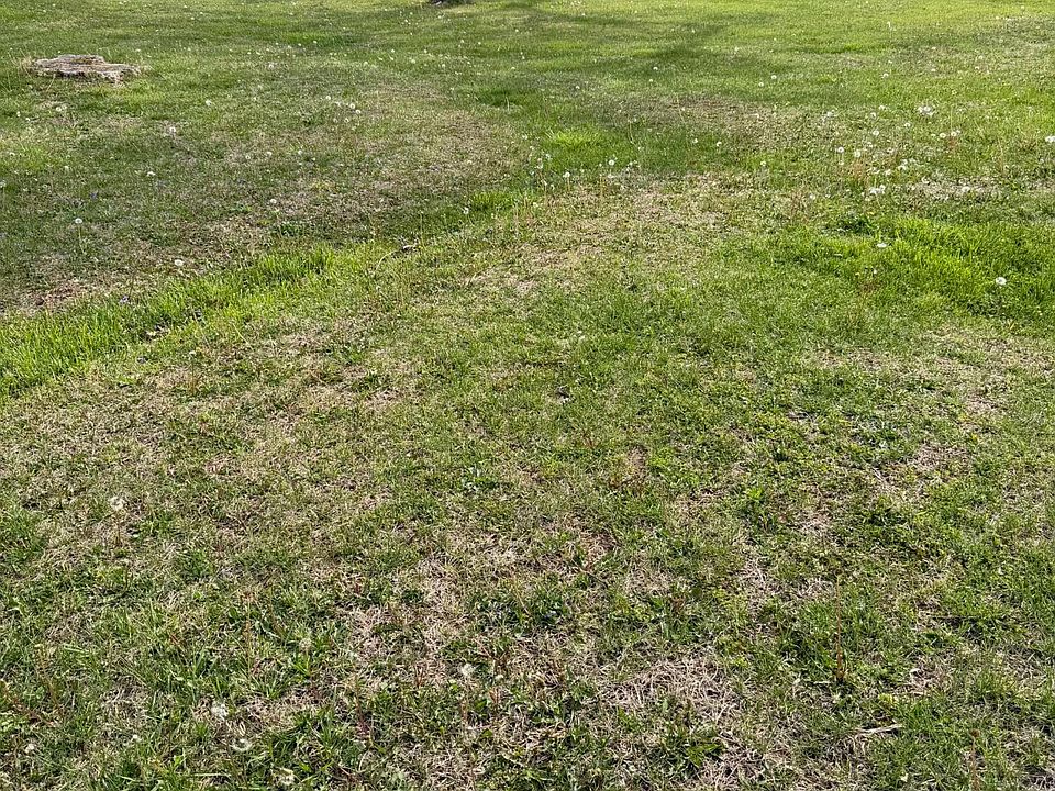 2nd image of 305 Paul St Lot 2