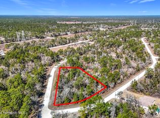 16070 Sheldrake Loop, Brooksville, FL 34614