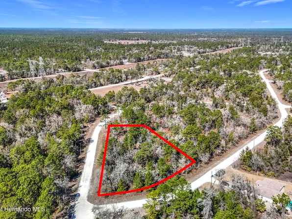 16070 Sheldrake Loop, Brooksville, FL 34614