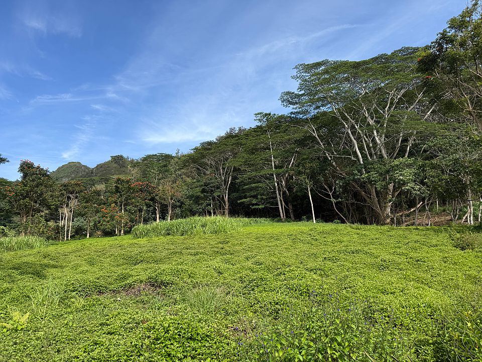 1st image of Kamalu Rd