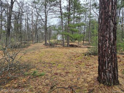 3774 S Stephan Bridge Rd, Grayling, MI, 49738