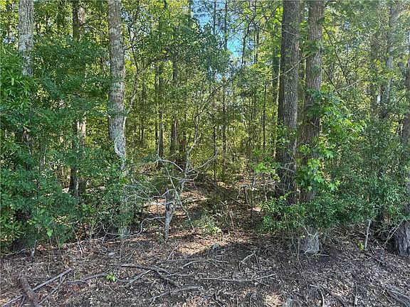 3rd image of Rhody Rd