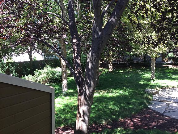 View from deck.