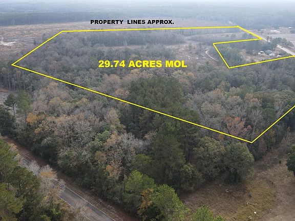 3rd image of 29.74 Acres Hwy #87