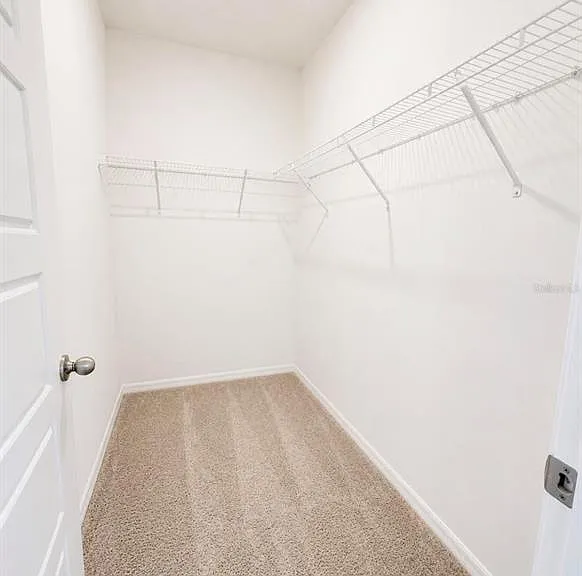4229 Evernia Rd — Photo 8