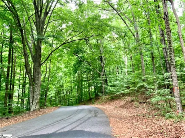 3 Burdine Dr Lot 3, Easley, SC 29640