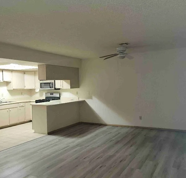 442 Holick Ave — Photo 4