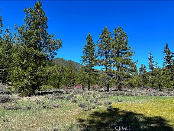 3rd image of 79402 State Highway 3