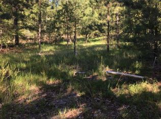 541 Gunter Pond Rd, Wagener, SC 29164