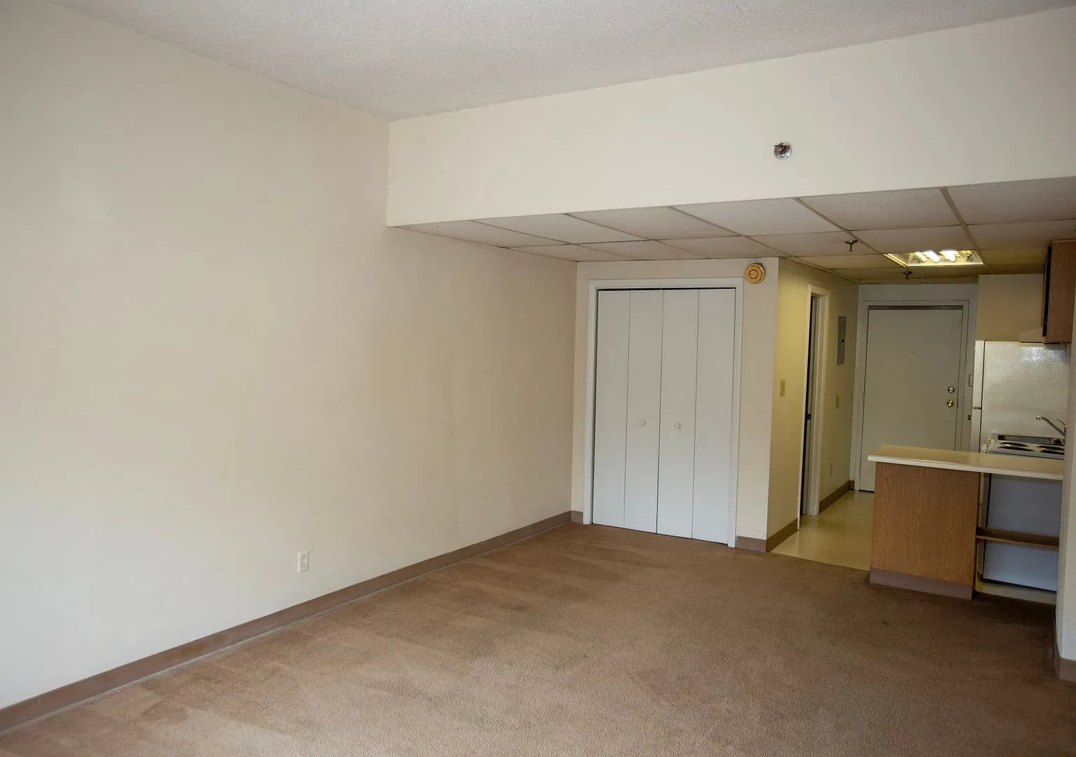 Studio Apartment in Downtown Athens - Steps Away From UGA Campus — Photo 3