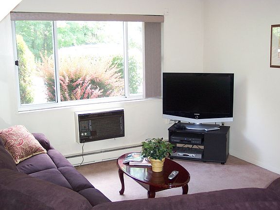 Sun drenched Living Room.