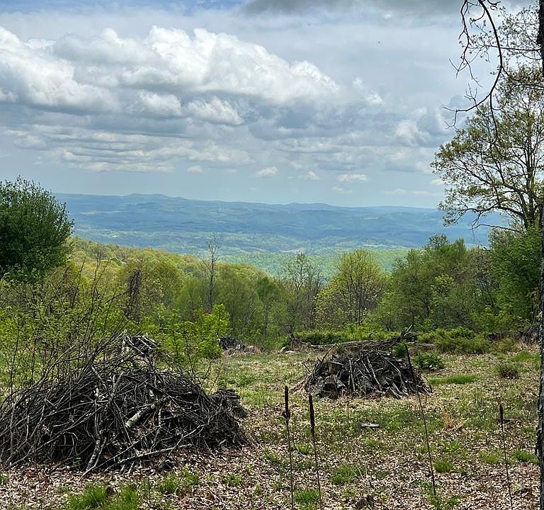 T 14 Point Lookout Ln, Independence, VA 24348 MLS 86575 Zillow