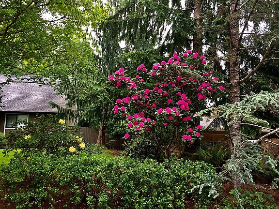4th image of 7495 Kentridge Pl SE